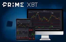 Cryptocurrency Trading on PrimeXBT Brazil A Comprehensive Guide