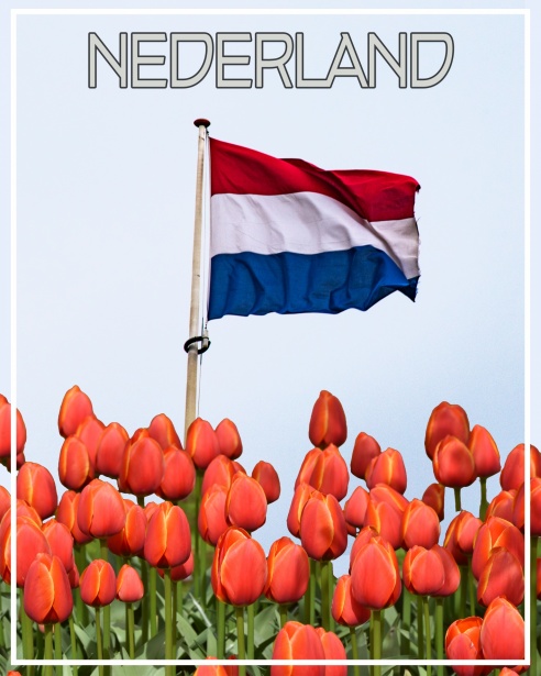 Desinformatie In De Media Een Uitdaging Voor De Samenleving 371790363