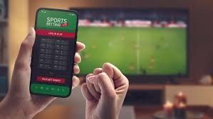 Apostando com Segurança Conheça o BetWinner